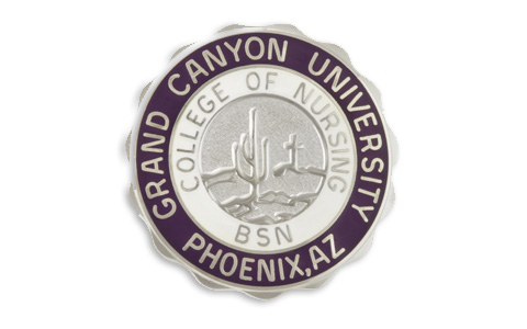 GCU Nursing Pins