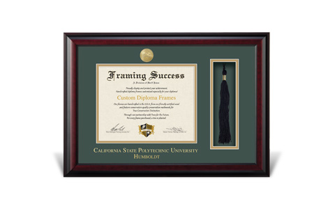 Herff Jones Diploma Frames