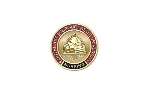 Nursing Pin